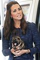 george-puppies3