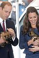 george-puppies3