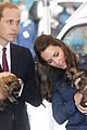 george-puppies3