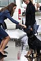george-puppies3
