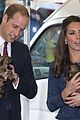 george-puppies3