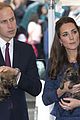 george-puppies3
