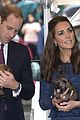 george-puppies3