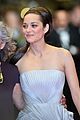 cotillard-supports