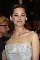cotillard-supports
