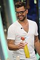 martin-hormiguero