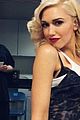 stefani-hollaback
