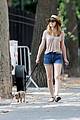 meester-dogwalking
