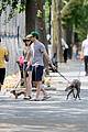 meester-dogwalking
