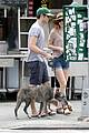 meester-dogwalking