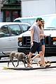 meester-dogwalking