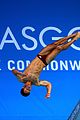 daley-common