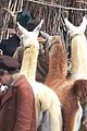 mia-llama