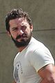 shia-bicep