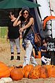 harris-pumpkin