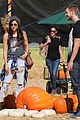 harris-pumpkin