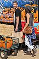 harris-pumpkin