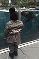 kardashian-zoo