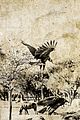 behati-sem
