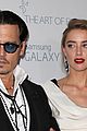 depp-wed