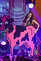 xcx-leopard