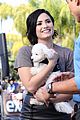 demi-regrets