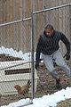 mbj-chickens
