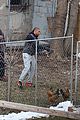 mbj-chickens