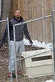 mbj-chickens