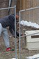 mbj-chickens