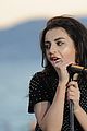 charli-cats