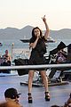 charli-cats
