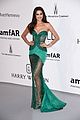 irina-amfar