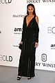kloss-amfar