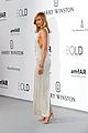 kloss-amfar
