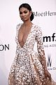 kloss-amfar