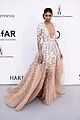 kloss-amfar