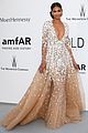 kloss-amfar