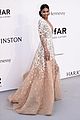 kloss-amfar