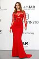 kloss-amfar