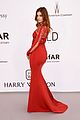 kloss-amfar