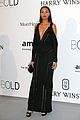 kloss-amfar