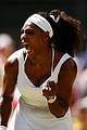 williams-wimb2
