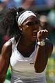 williams-wimb2