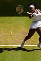 williams-wimb2