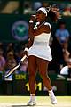 williams-wimb2