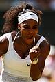 williams-wimb2