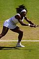 williams-wimb2