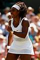 williams-wimb2