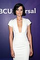 alexander-blindnbctca